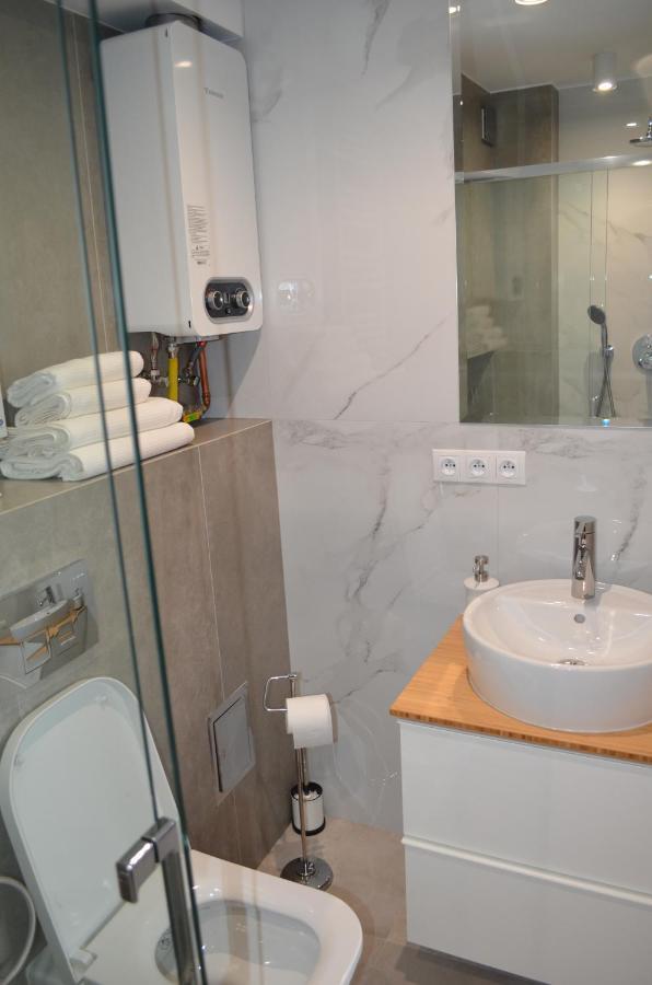 V3 Sokolska 33 Appartement Katowice Buitenkant foto